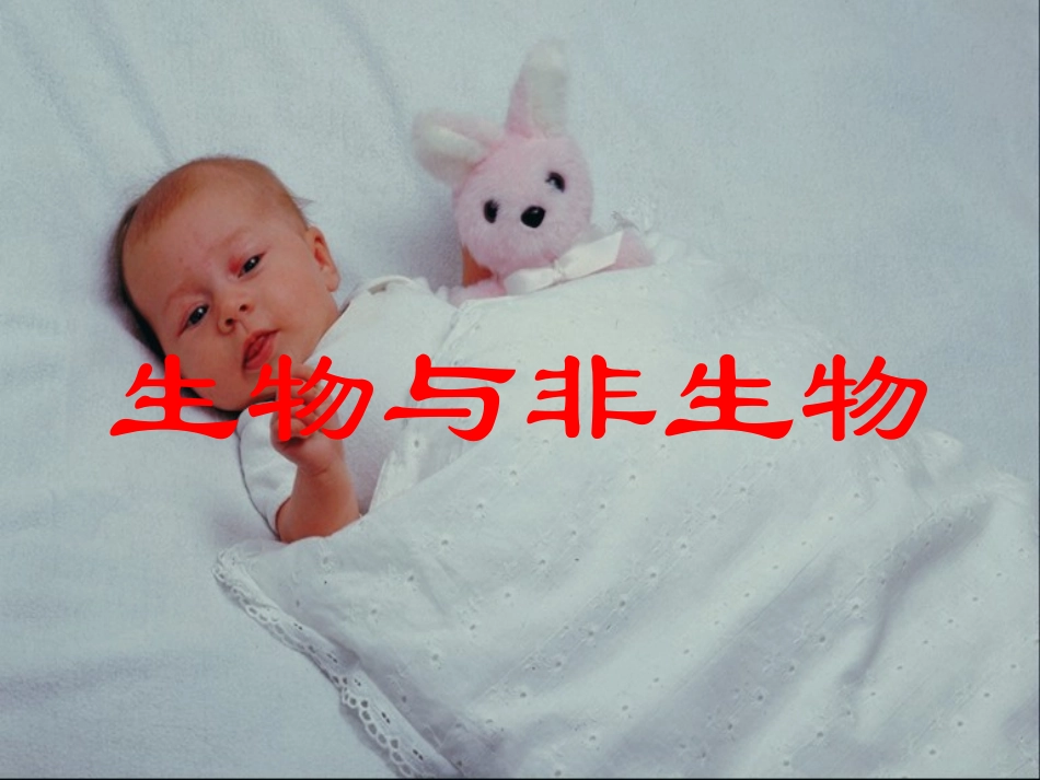 第1课时21生物与非生物_第1页