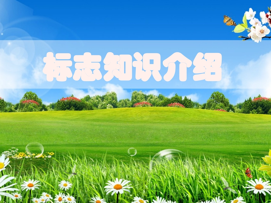 交通标志知识_第1页