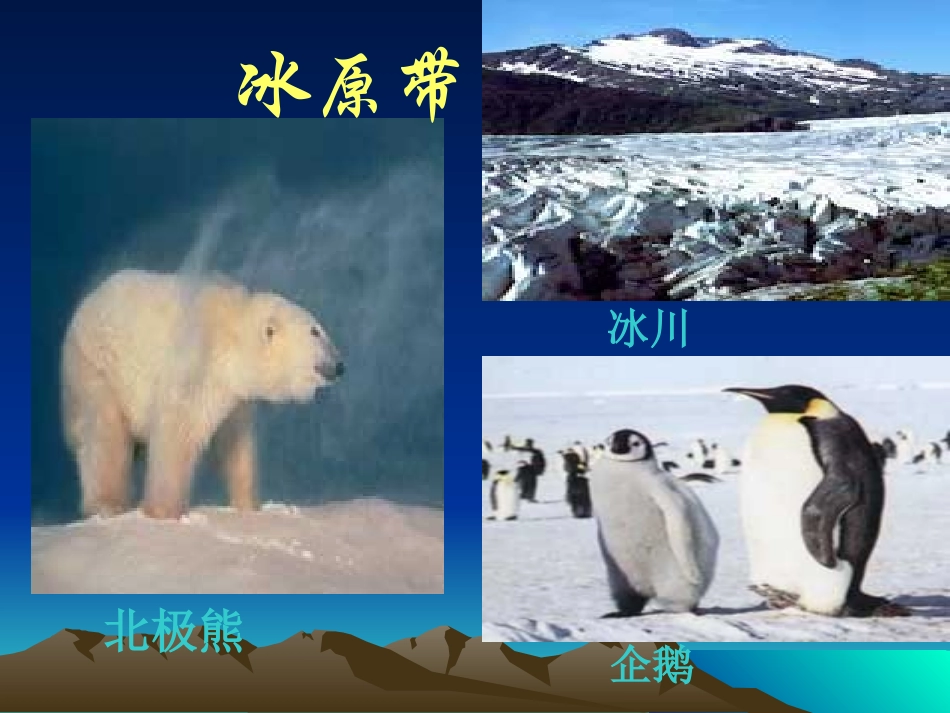 气候复习课件_第3页