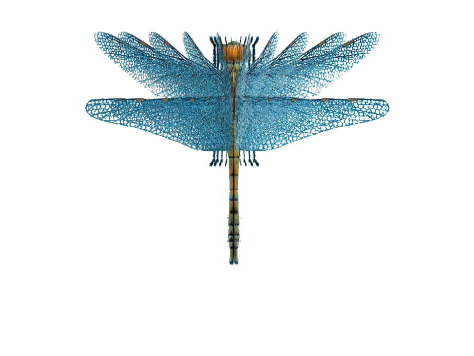 新人教版四年级下册--轴对称图形PPT (2)_第3页