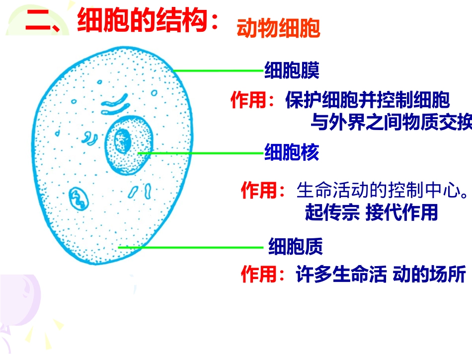 第4-5课时22显微镜的结构和使用_第2页