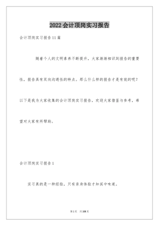 2024会计顶岗实习报告_3