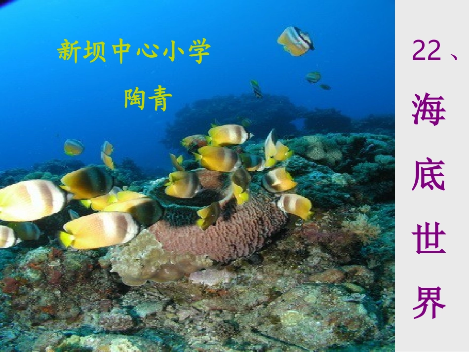 海底世界(陶青）_第1页