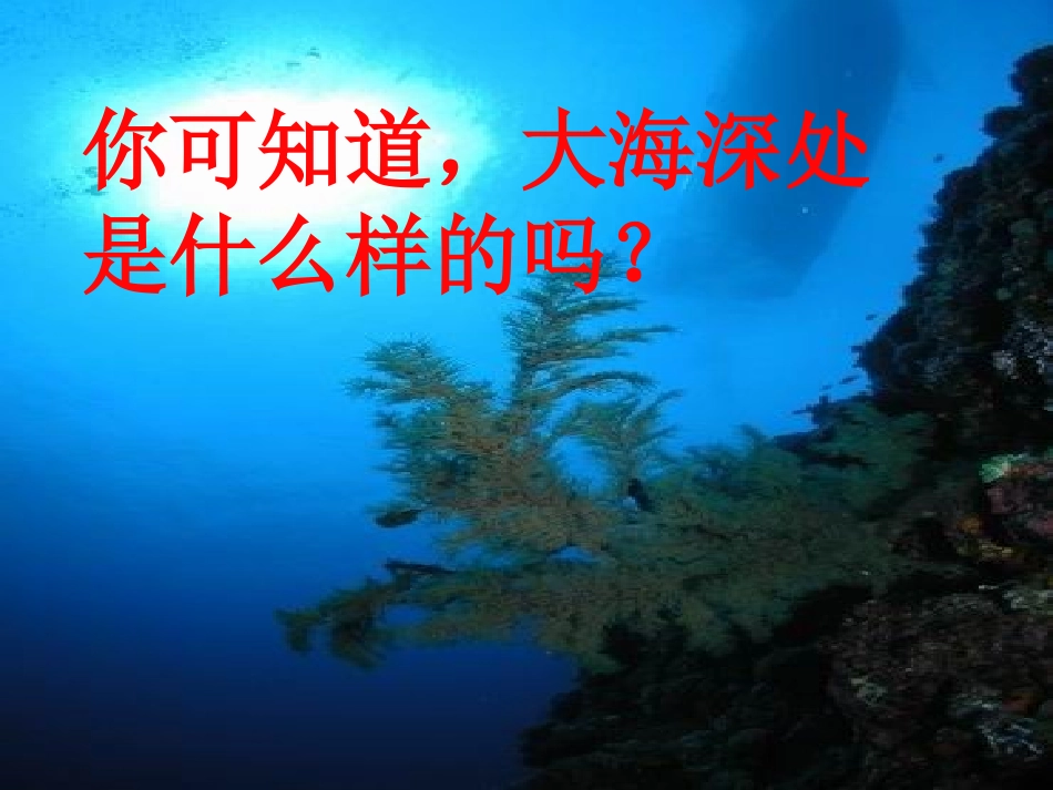 海底世界(陶青）_第2页