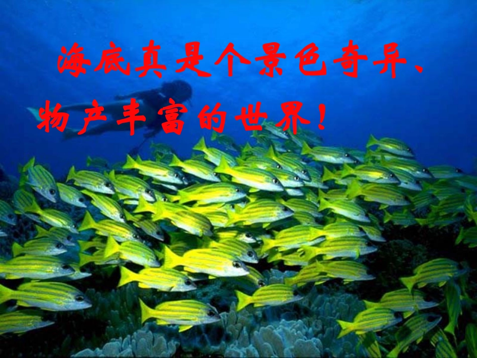 海底世界(陶青）_第3页