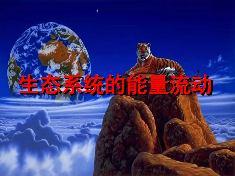 生态系统的能量流动4_第1页
