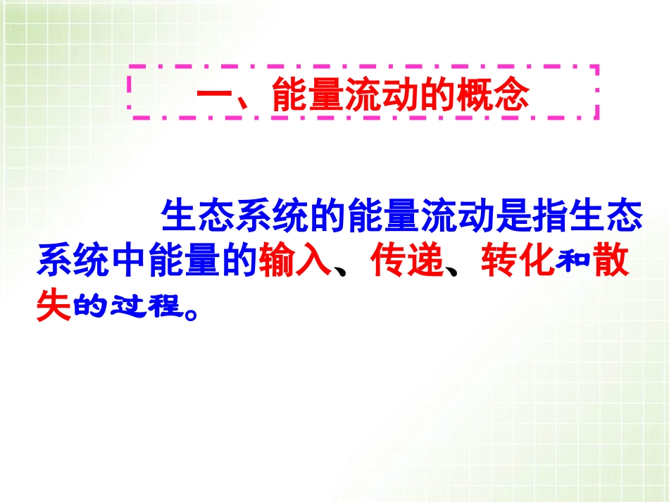 生态系统的能量流动4_第3页