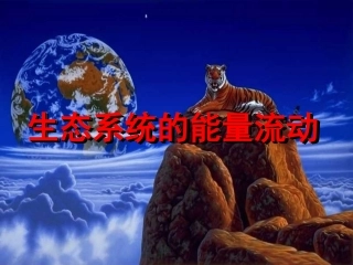 生态系统的能量流动4