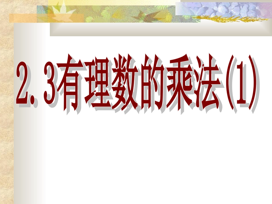 有理数的乘法()_第1页