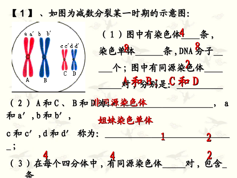 减数分裂课件_第2页