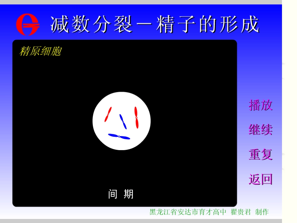 减数分裂课件_第3页