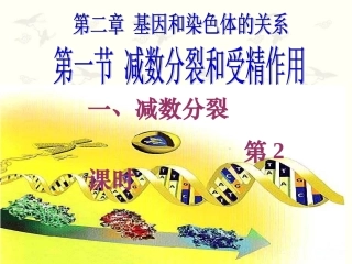减数分裂课件