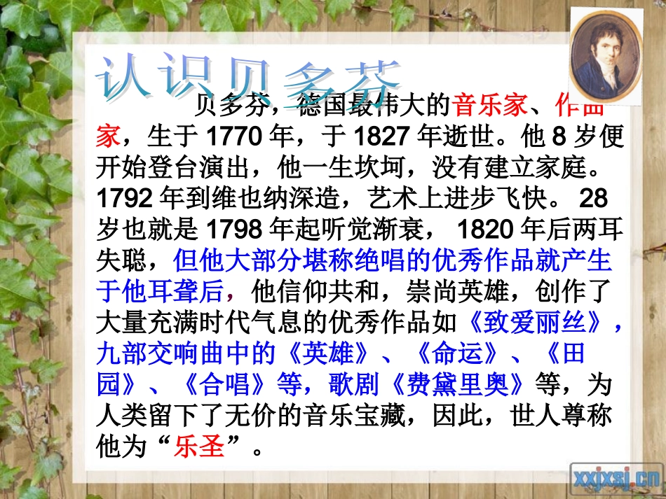 音乐巨人贝多芬 (2)_第3页