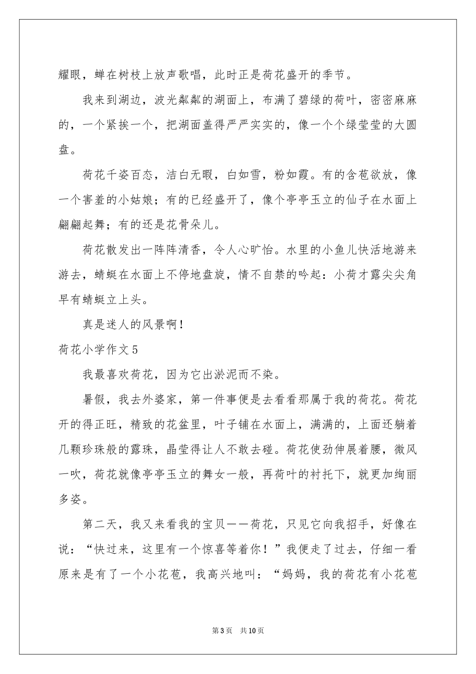 荷花小学作文(集合15篇)_第3页