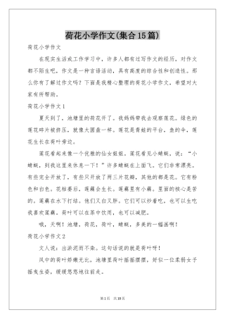荷花小学作文(集合15篇)