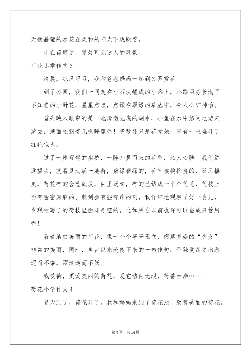 荷花小学作文(15篇)_第3页