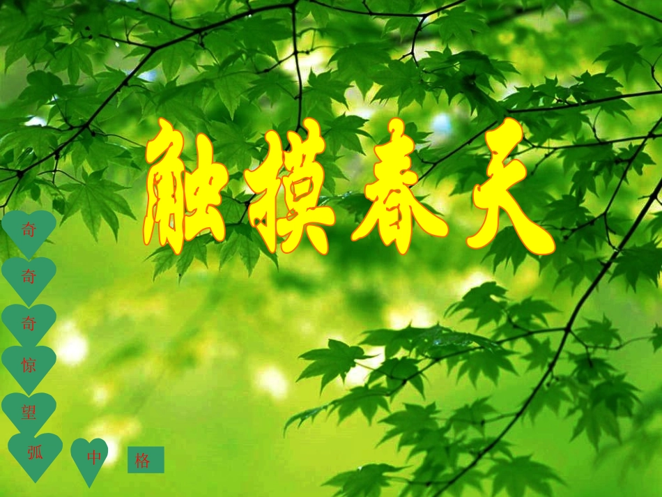 触摸春天 (2)_第1页