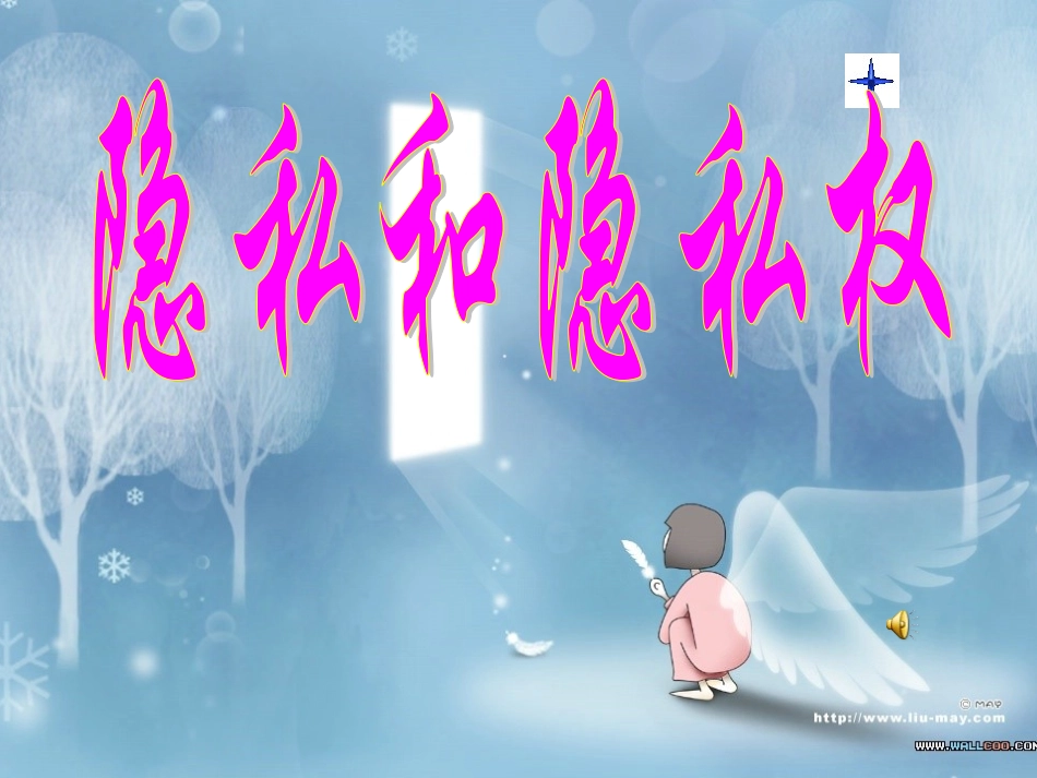 隐私和隐私权（2016）pt_第2页