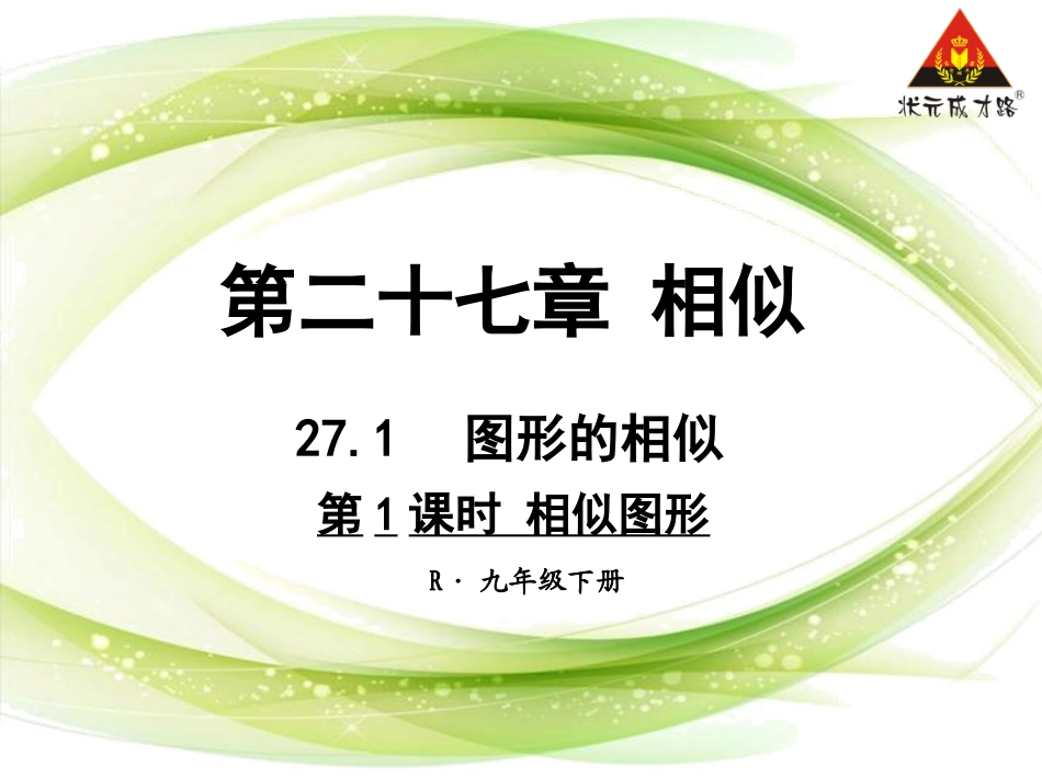 第1课时相似图形 (2)_第1页