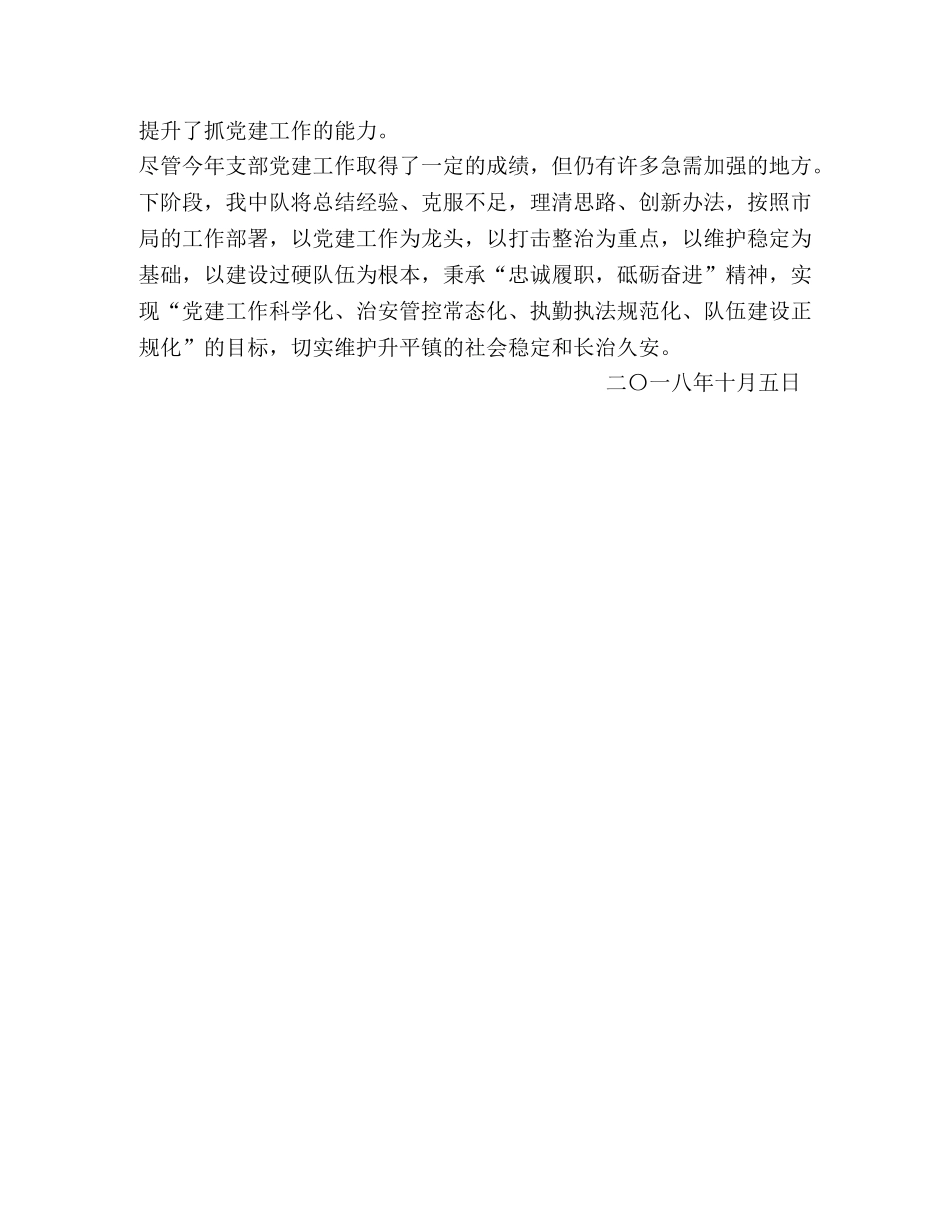 临时党支部2020年党建工作年终总结 _第3页