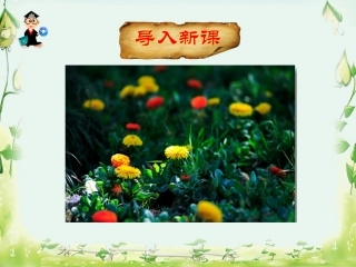 和我们一样享受春天 