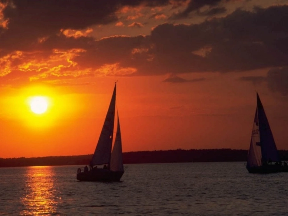 苏教语文三年级下学期《赶海》_第3页