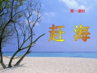 苏教语文三年级下学期《赶海》