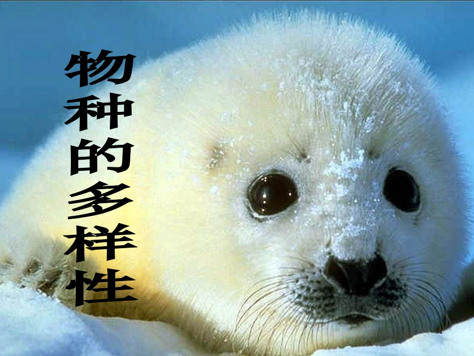 第18-19课时24物种的多样性_第1页