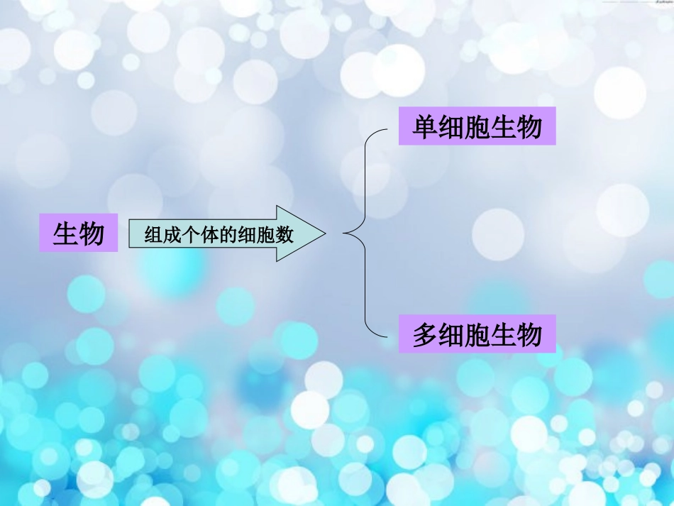 第18-19课时24物种的多样性_第2页