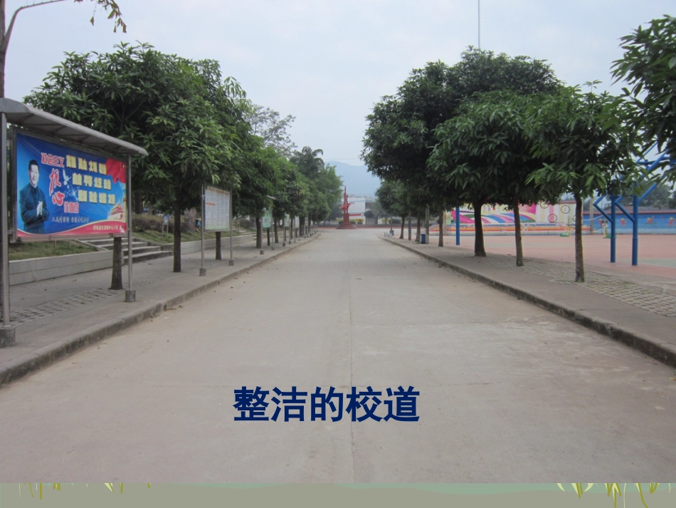 夸夸我们的学校_第3页