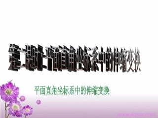 第2课时：《平面直角坐标系中的伸缩变换》