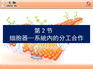 细胞器——系统内的分工合作