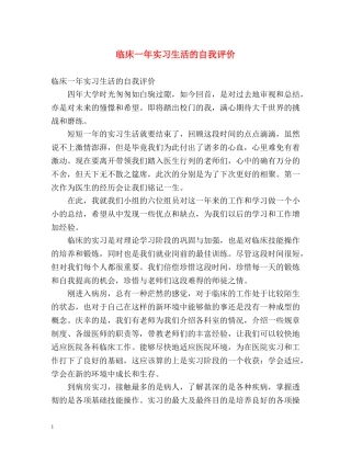 临床一年实习生活的自我评价 
