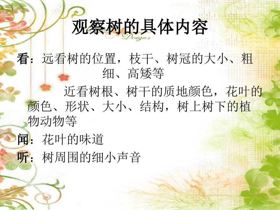 校园的树木课件_第3页