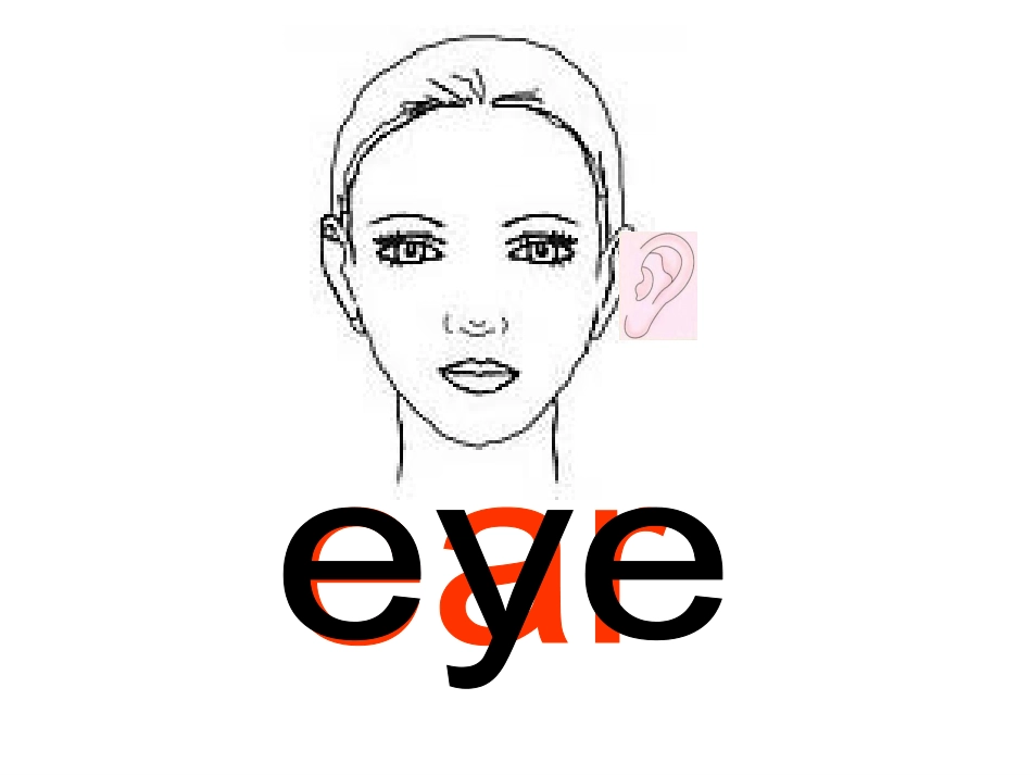 三年级英语上册Unit3Lookatme！第二课时_第2页