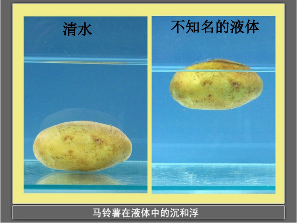 马铃薯在液体中的沉浮_第2页