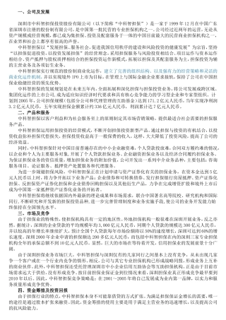 中科智投资担保股份有限公司商业计划书