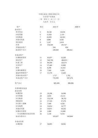 中石化XXXX财务报表