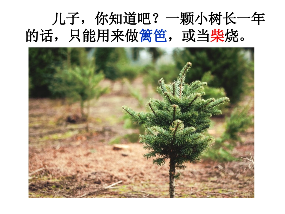 我们为什么要上学(一个爸爸接地气的回答)_第3页
