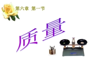 质量及其测量工具