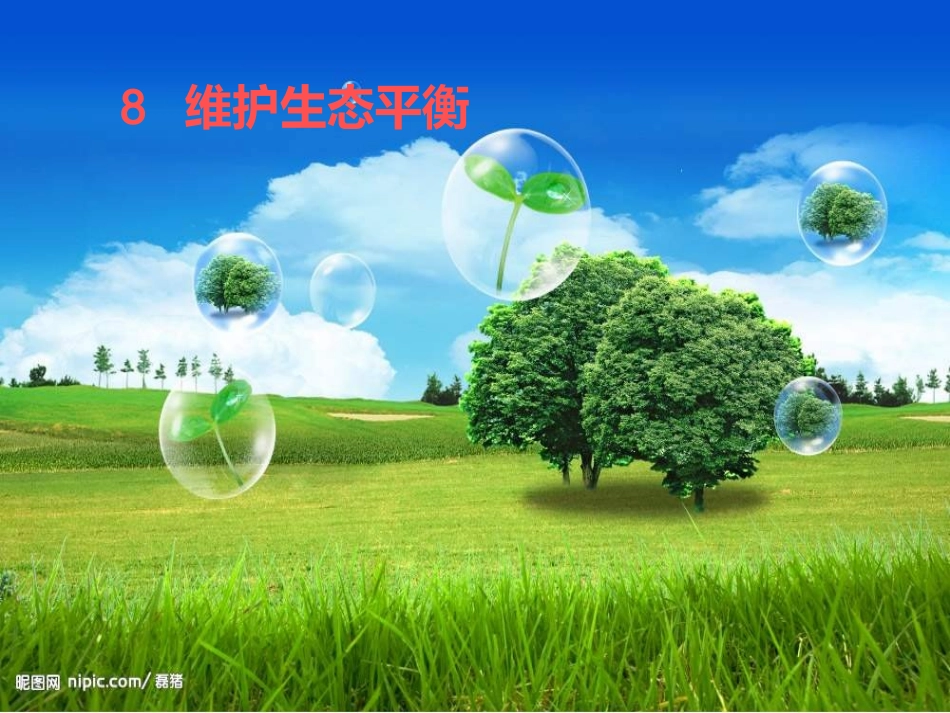 维护生态平衡_第1页