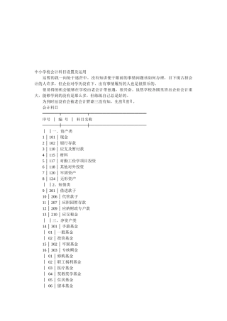 中小学校会计科目设置及其运用