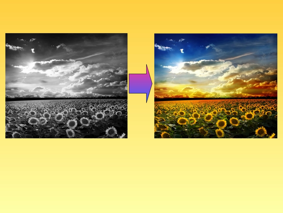 画家笔下的色彩_第1页