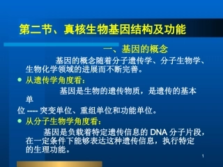 真核生物基因结构