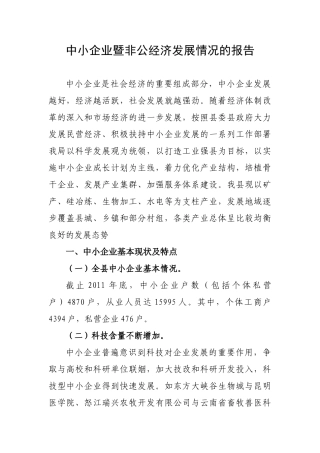 中小企业暨非公经济发展情况报告
