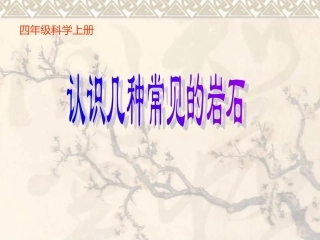 认识几种常见的岩石