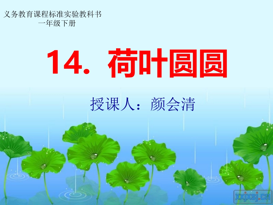 荷叶圆圆 (2)_第1页