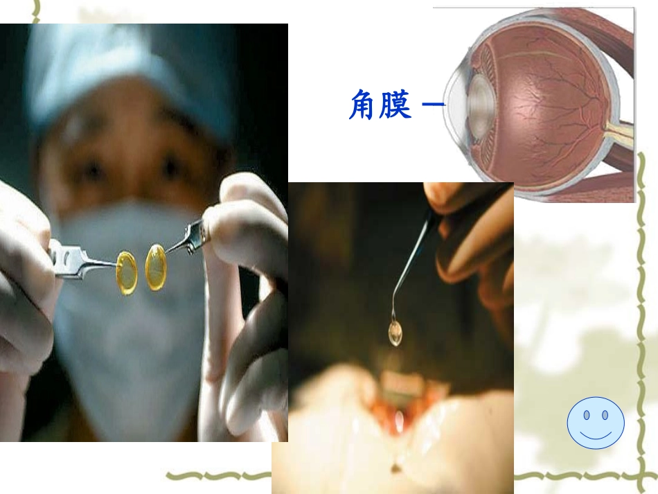 永生的眼睛 _第3页