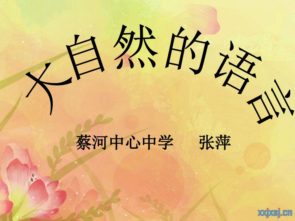 大自然的语言 (2)_第2页