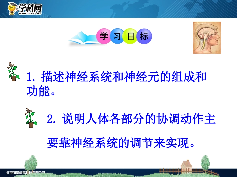 《神经系统的组成》课件_第2页